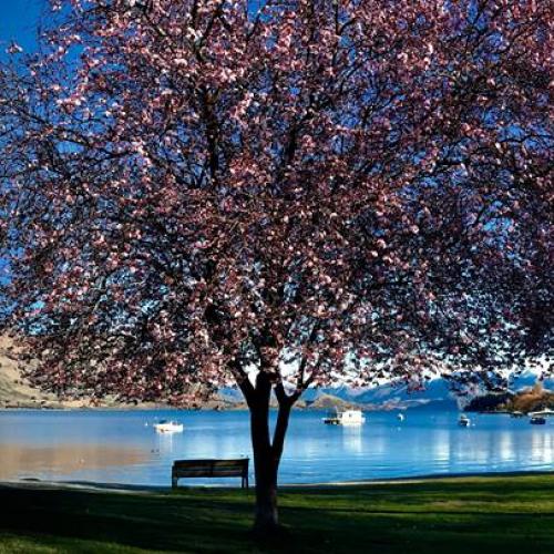 1043609139082388_1265524666890833 1507006522