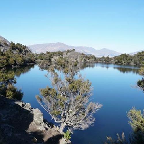 1043609139082388_1260002777443022 1507006525