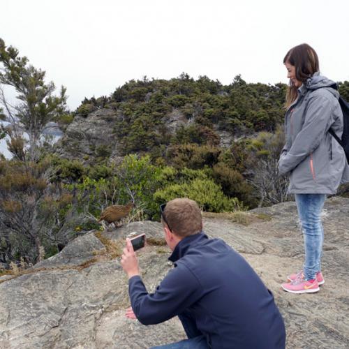 Capture some David Attenbor