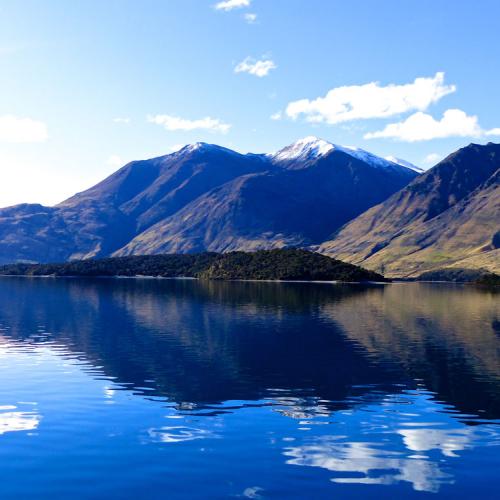 Monet would have loved Wanaka