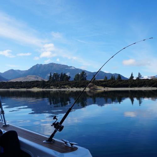 Reax wait for the bite2