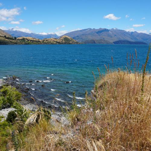 Summer at Ruby Island2