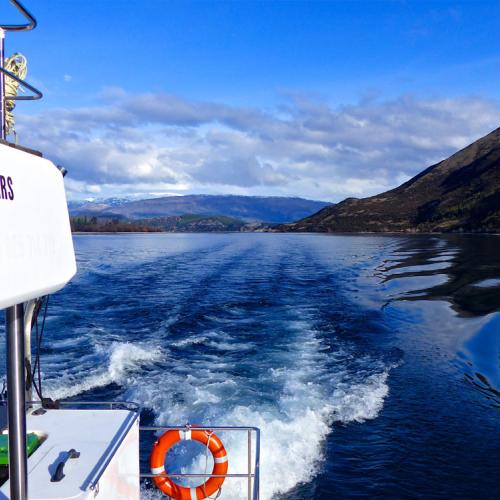 The furrow follows free on 